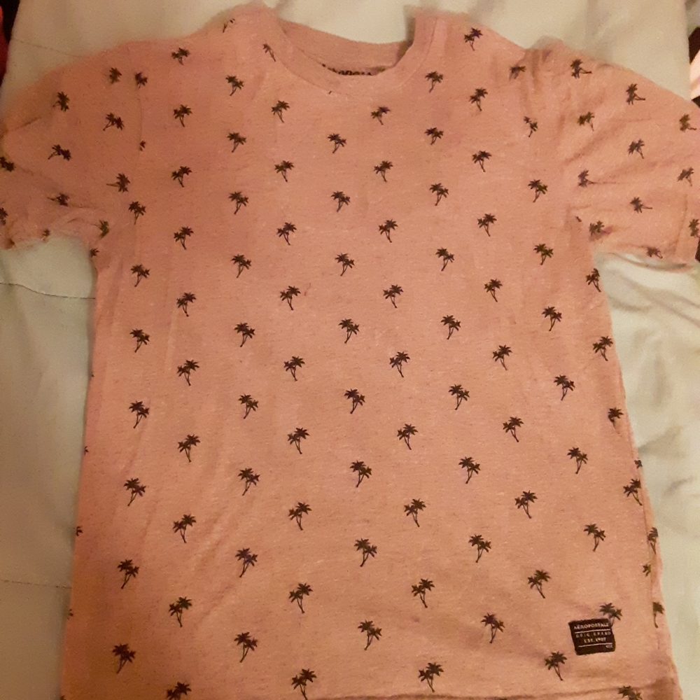 Palm Tree Aeropastale T Shirt (Size Small) Grey